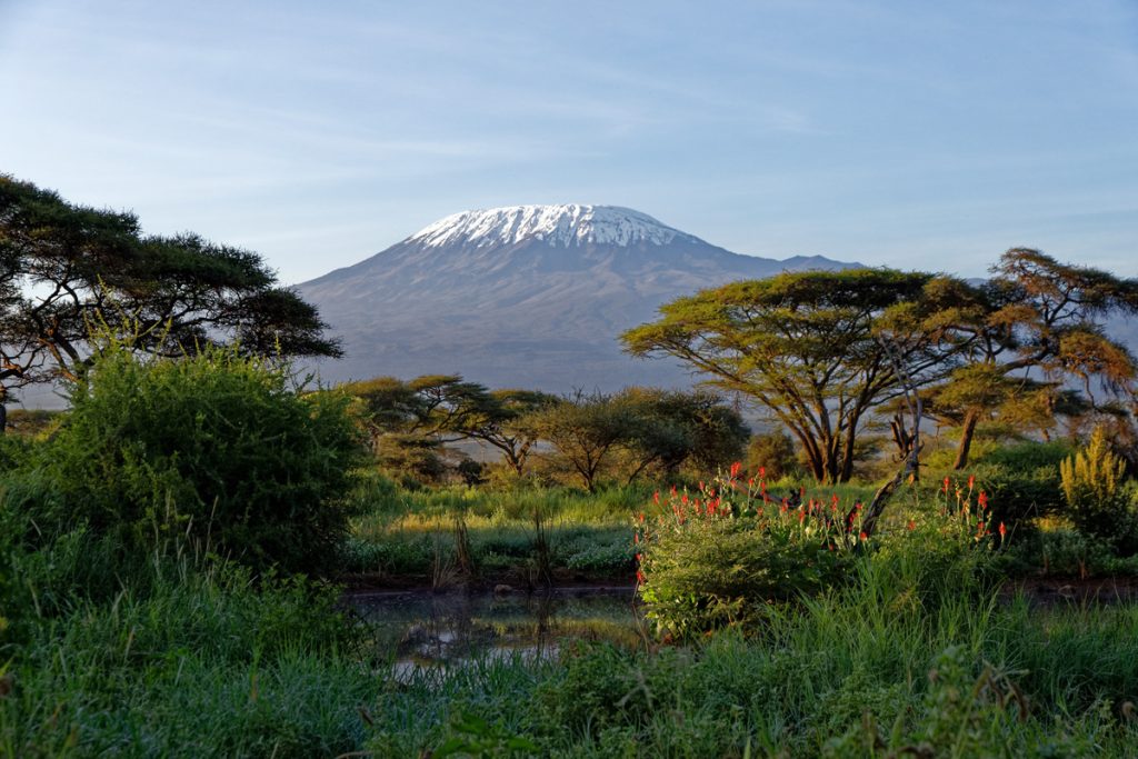 kili